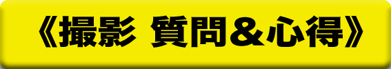 Photo Gallery